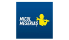 Micul Meserias